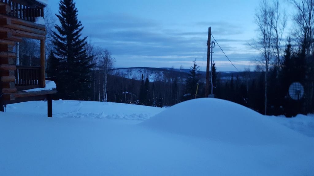 Wildmoon Home Fairbanks Eksteriør bilde