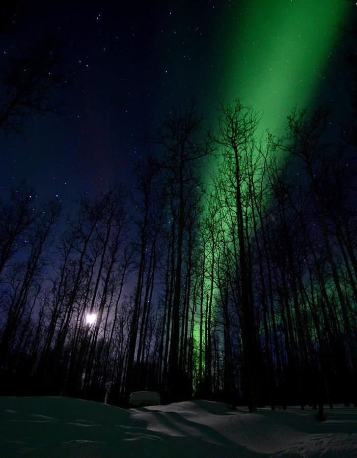 Wildmoon Home Fairbanks Eksteriør bilde